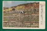 JAPAN - NATIVE CULTIVATION ON MOUNTAIN  - UNCIRCULATED POSTCARD - Cultivation