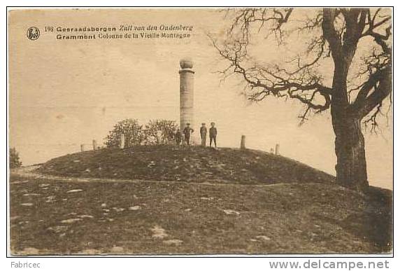 Grammont - Colonne De La Vieille Montagne - Geeraadsbergen - Zuil Van Den Oudenberg - Geraardsbergen