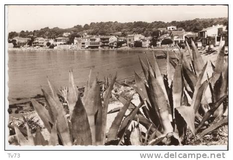 Cpc 1018 - SAINT CYR Sur MER Les Lecques - Une Vue De La Plage (83 - Var) - Saint-Cyr-sur-Mer