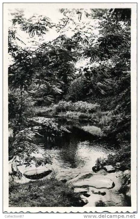 87 - HAUTE VIENNE - St SULPICE Les FEUILLES - PAYSAGE Du COTE Du MOULIN De PEUPITON - Saint Sulpice Les Feuilles