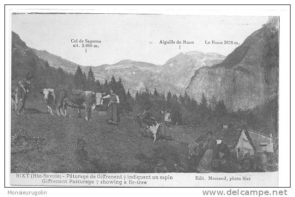 74 )) SIXT, Paturage De Giffrenant, ANIMEE, - Sixt-Fer-à-Cheval