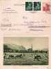 Lie011/  LIECHTENSTEIN -  Kartenbrief K1/02, Enzian, Zusatzmarken Senseschärfen,1954 - Storia Postale