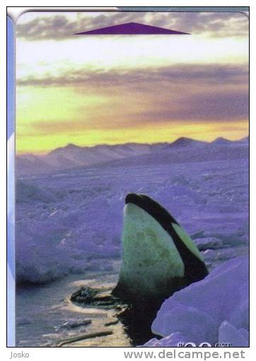 ORCA - 20$ ( New Zealand - Antarctic Serie Card ) Whale Wal Wals Ballena Baleine Balena Arctic Polaire - New Zealand