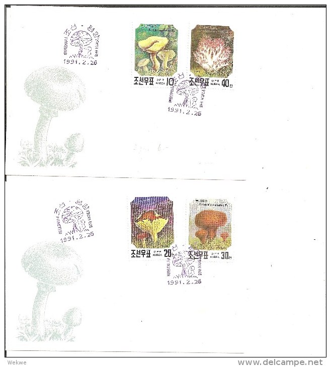 KO-N004 / KOREA -  Pilze Auf Marken Und Im Stempel 3 SCHMUCKBRIEFE, 1991 (mushroom, Seta) - Korea (Nord-)