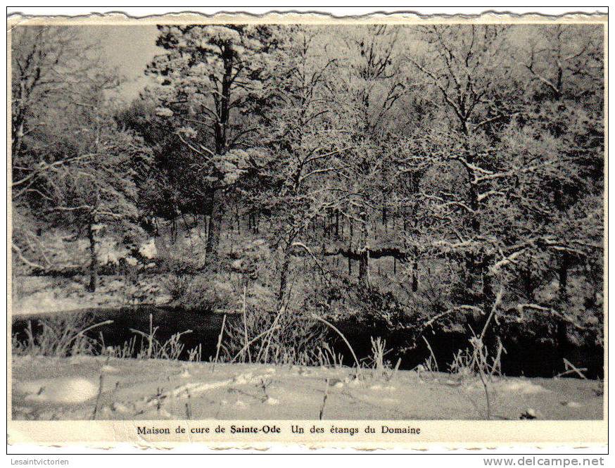 STE ODE MAISON DE CURE UN DES ETANGS DU DOMAINE - Sainte-Ode