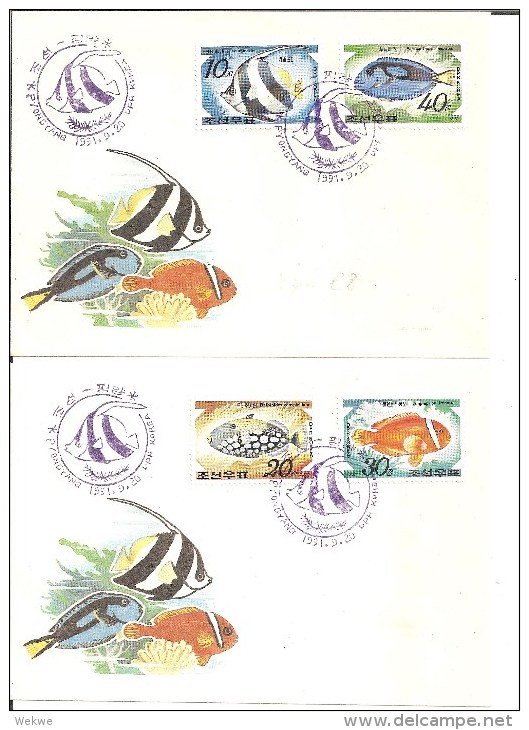 KO-N007 /  KOREA - Zierfische,Marken Und Im Stempel 4 SCHMUCKBRIEFE  1991 (Nord Korea) - Korea (Nord-)