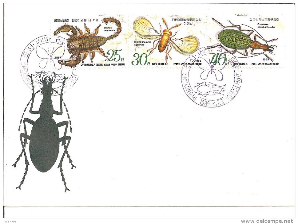 KO-N012 / KOREA -  Schmetterlinge+ Insekten Auf Marken Im Stempel.3 FDC (Nord Korea) - Korea (Nord-)