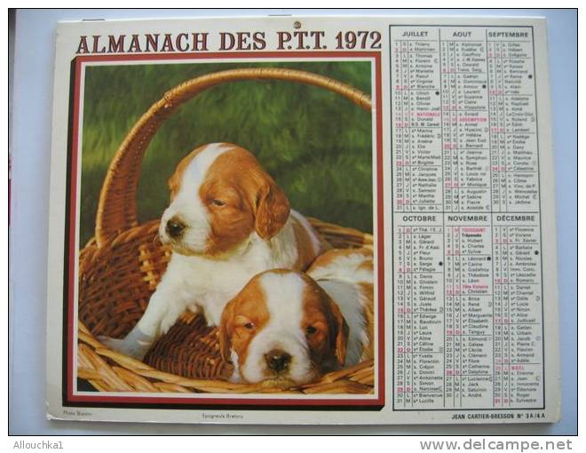 CALENDRIERS ALMANACH DES P.T.T. DOUBLES PHOTOS /COMPLET ETAT VOIR SCANN /1972  CHIEN CHIOTS - Tamaño Grande : 1971-80