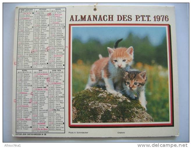 CALENDRIERS ALMANACH DES P.T.T. DOUBLES PHOTOS /COMPLET ETAT VOIR SCANN /1976  LES 7 DALMATIENS  CHATONS - Big : 1971-80