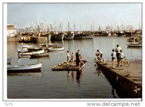 Cpc 1031 - LESCONIL - Le Port à Marée Haute (29 - Finistère) - Lesconil