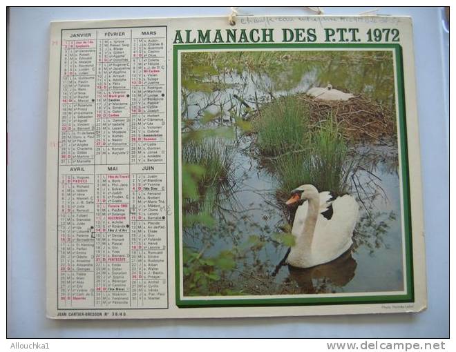 CALENDRIER ALMANACH DES P.T.T. DOUBLES PHOTOS  DE 1972  CYGNE / BERGER  MOUTONS - Grand Format : 1971-80