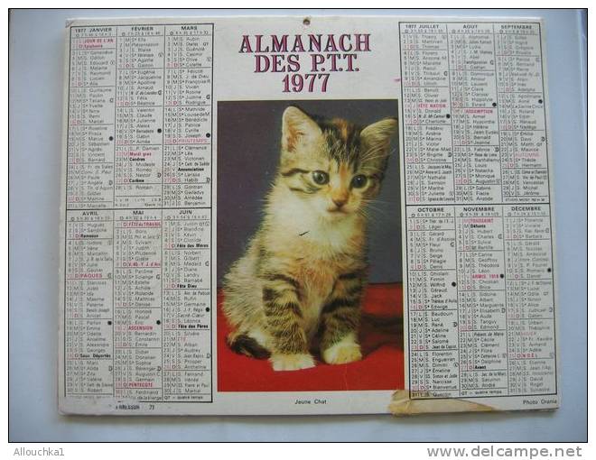 CALENDRIER ALMANACH DES P.T.T. DOUBLES PHOTOS  DE 1977 JUMENT ET POULAIN / JEUNE CHAT - Groot Formaat: 1971-80