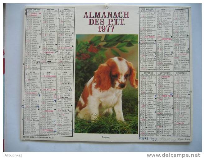 CALENDRIER ALMANACH DES P.T.T. DOUBLES PHOTOS  DE 1977 CHIOT  / JEUNE CHAT - Grand Format : 1971-80