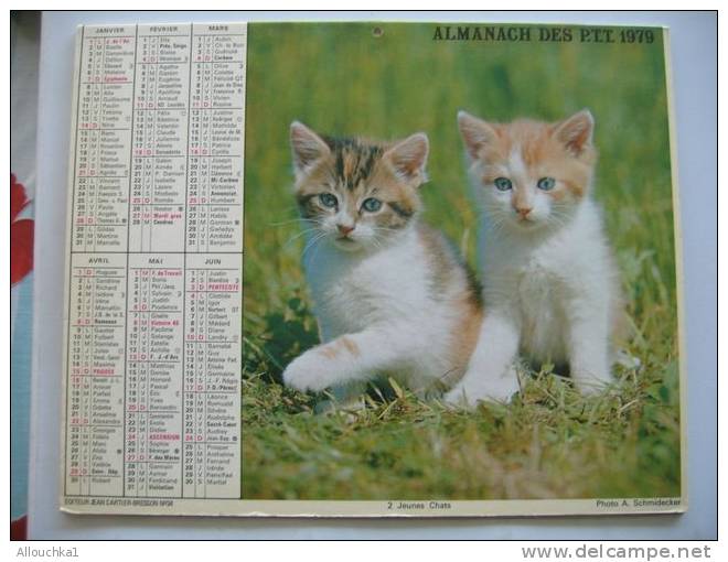 CALENDRIER ALMANACH DES P.T.T. DOUBLES PHOTOS  DE 1979 DIAMANTS D'AUSTRALIE  2 CHATONS - Grand Format : 1971-80