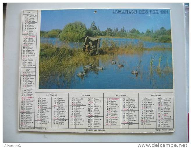 CALENDRIER ALMANACH DES P.T.T. DOUBLES PHOTOS  DE 1981 CHASSE AUX CANARDS / POINTERS A POILS RAS - Tamaño Grande : 1981-90