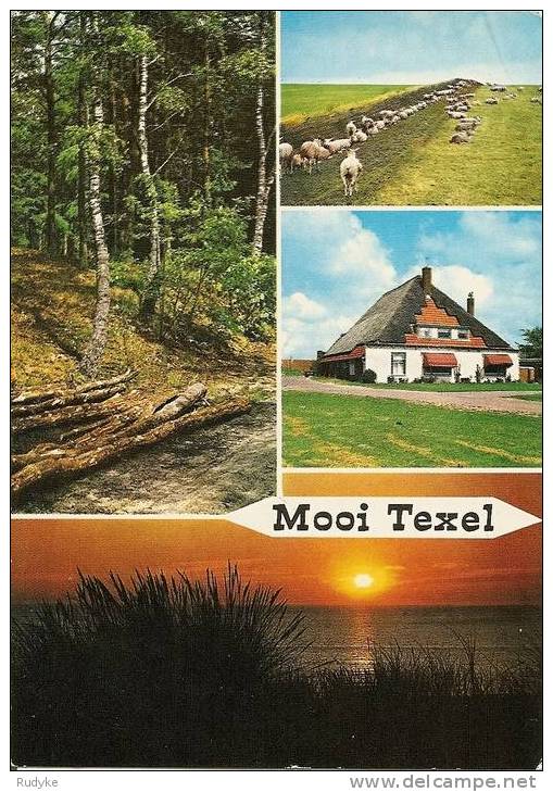 TEXEL - Texel