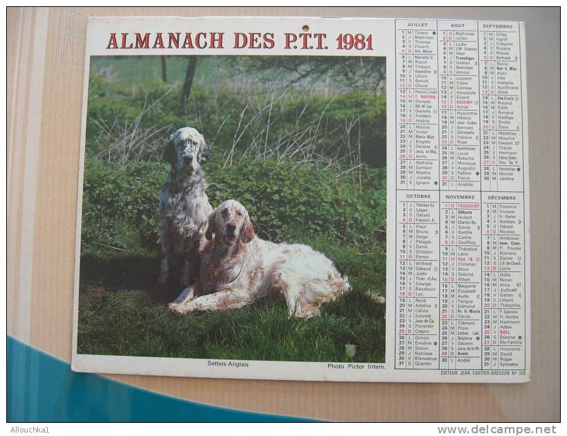 CALENDRIER ALMANACH DES  P.T.T. 1981   CHIENS CHATS - Groot Formaat: 1981-90