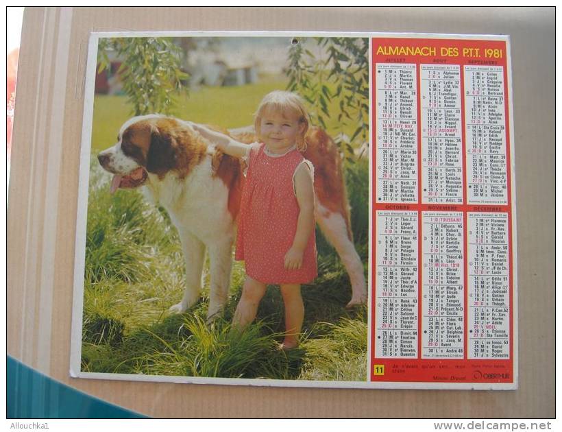 CALENDRIER ALMANACH DES  P.T.T. 1981 CHIENS CHATS - Groot Formaat: 1981-90