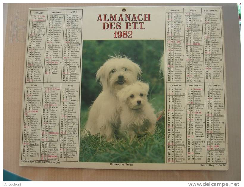 CALENDRIER ALMANACH DES  P.T.T. 1982  CHIENS / COTONS DE TULEAR TECKELS A POILS LONGS - Groot Formaat: 1981-90