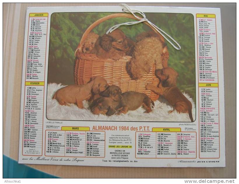 CALENDRIER ALMANACH DES  P.T.T. 1984    CHIENS CHIOITS - Grossformat : 1981-90