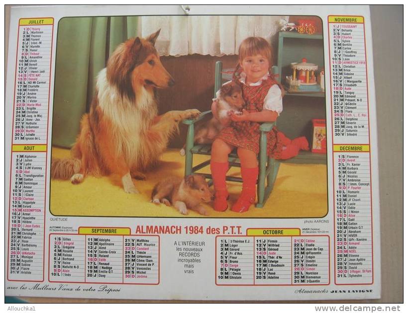 CALENDRIER ALMANACH DES  P.T.T. 1984    CHIENS CHIOITS - Big : 1981-90