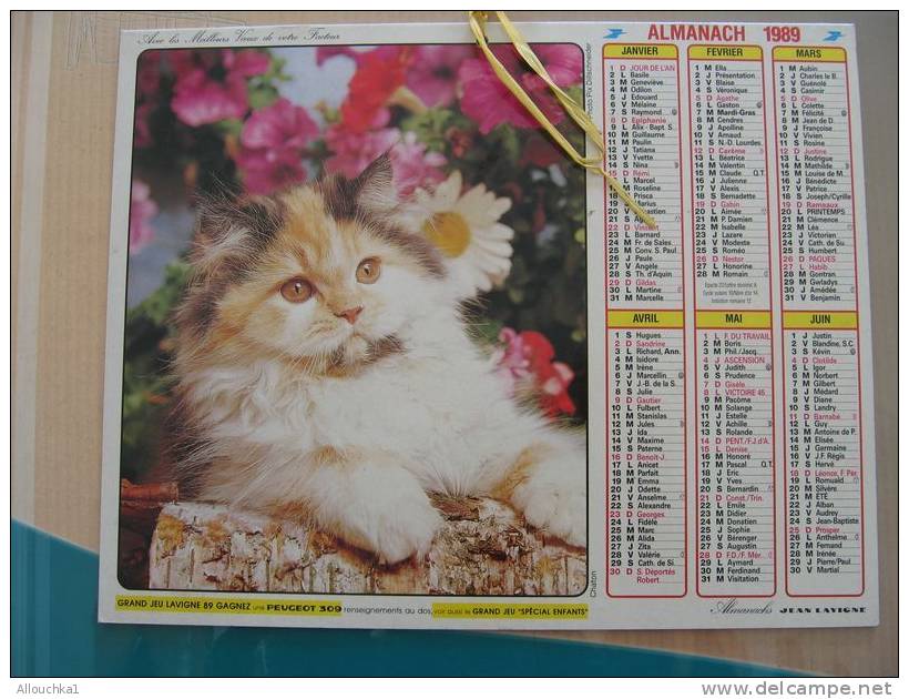 CALENDRIER ALMANACH DES  P.T.T. 1989    CHATS - Grossformat : 1981-90