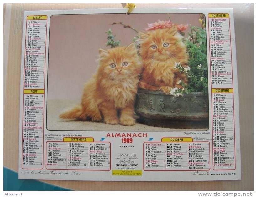CALENDRIER ALMANACH DES  P.T.T. 1989    CHATS - Groot Formaat: 1981-90