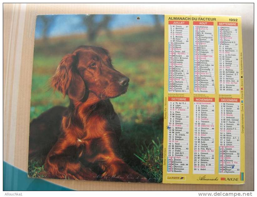 CALENDRIER ALMANACH DES  P.T.T. 1992 CHIEN / JARDIN FLEURI - Grossformat : 1991-00