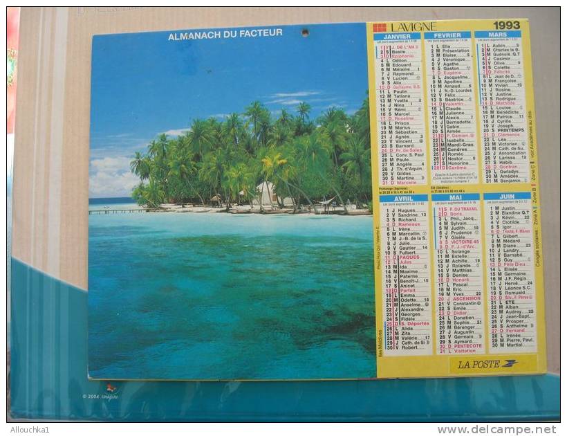 CALENDRIER ALMANACH DES  P.T.T. 1993 /GUADELOUPE /ILES MALDIVES - Grand Format : 1991-00