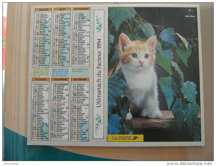 CALENDRIER ALMANACH DES  P.T.T. 1994 /CHIEN YORKSHIRE  / CHAT - Grossformat : 1991-00