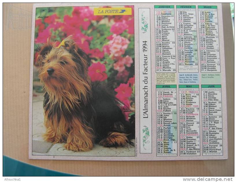 CALENDRIER ALMANACH DES  P.T.T. 1994 /CHIEN YORKSHIRE  / CHAT - Grand Format : 1991-00