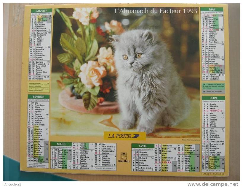 CALENDRIER ALMANACH DES  P.T.T. 1995 /CHIENS CHATS - Big : 1991-00