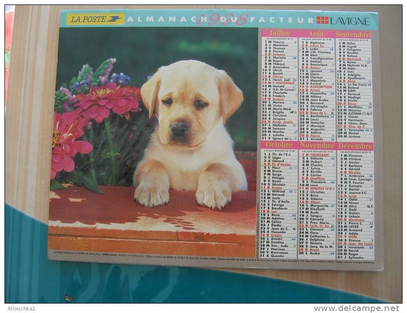 CALENDRIER ALMANACH DES  P.T.T. 1998 / CHIENS CHATS - Groot Formaat: 1991-00