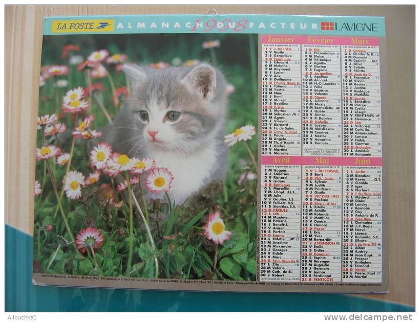 CALENDRIER ALMANACH DES  P.T.T. 1998 / CHIENS CHATS - Groot Formaat: 1991-00
