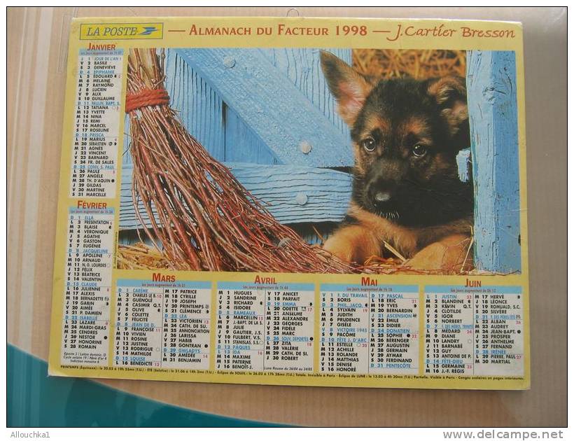 CALENDRIER ALMANACH DES  P.T.T. 1998 / CHIENS - Big : 1991-00