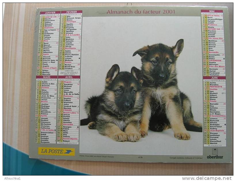 CALENDRIER ALMANACH DES  P.T.T DE 2000  / CHIENS - Big : 1991-00