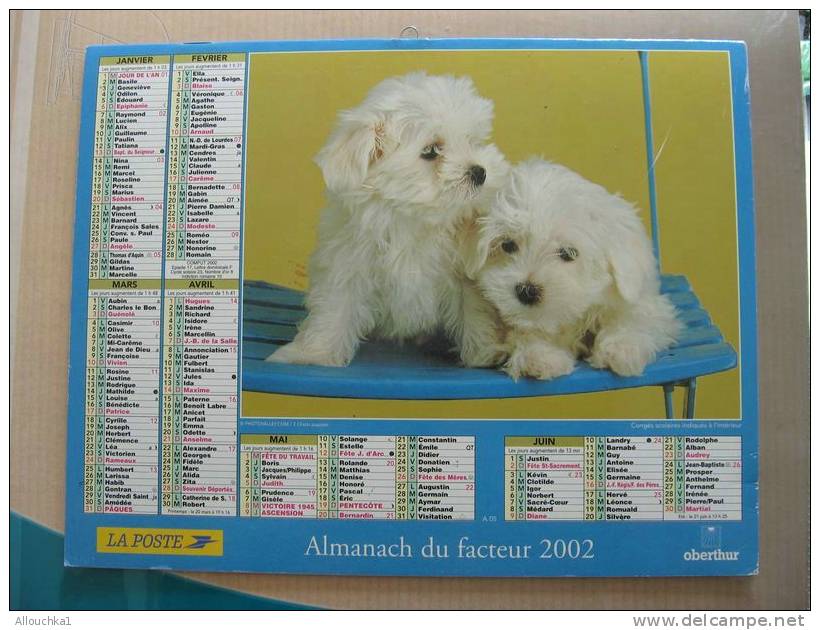 CALENDRIER ALMANACH DES  P.T.T DE 2002  / CHIENS  CHIOTS - Grand Format : 2001-...