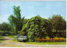 Carte Postale  93.  Le Blanc-Mesnil   Le Square - Le Blanc-Mesnil
