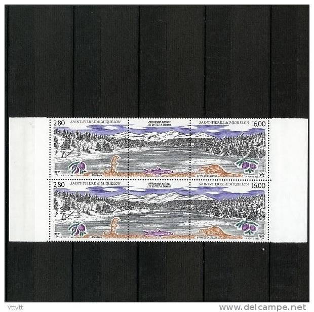 Saint-Pierre-et-Miquelon, 1993, N° 586 A**, Triptyque Avec Vignette Centrale (Y Et T), Bloc De 2, Bord De Feuille. - Unused Stamps