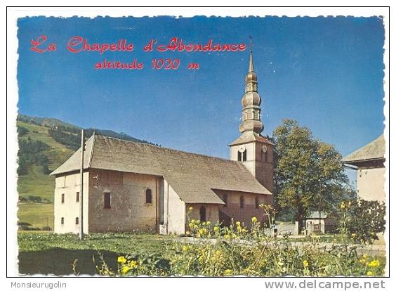 74 ) Fl) La Chapelle D ABONDANCE, CPSM, Ed J Cellard N° 1805 - Abondance