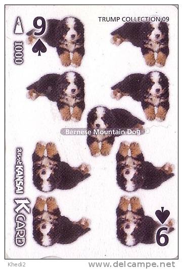 Carte à Jouer Japon 09/54 - Animal - Chien Bouvier Bernois - Bernese Mountain DOG Japan Playing Card - HUND - 02 - Jeux