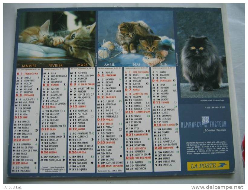 CALENDRIER ALMANACH DES P.T.T. DOUBLE PHOTOS/ 2003 /CHIENS CHATS - Tamaño Grande : 2001-...