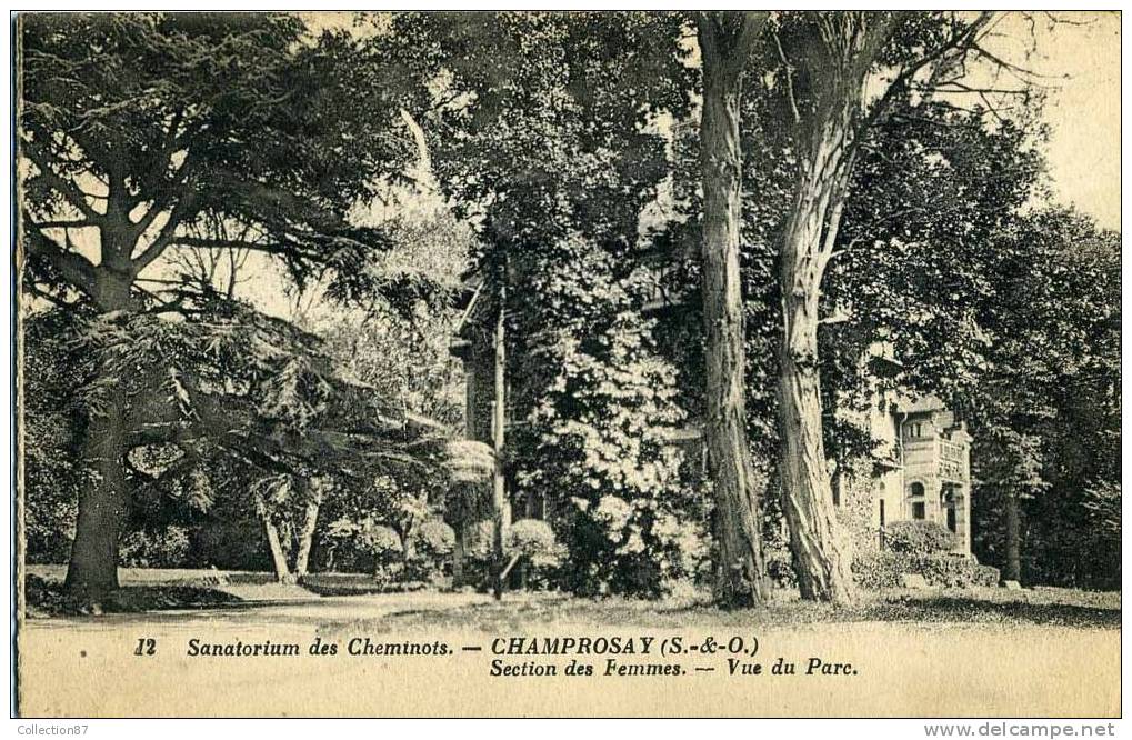 91 - ESSONNE - CHAMPROSAY - SANATORIUM Des CHEMINOTS - SECTION Des FEMMES - LE PARC - Draveil