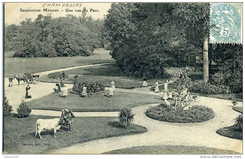 91 - ESSONNE - CHAMPROSAY - SANATORIUM MINORET - UNE VUE Du PARC Avec Des VACHES - Draveil