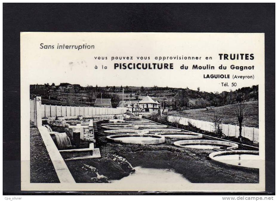 12 LAGUIOLE Pisciculture Du Moulin De Gagnot, Bassin à Truites, CPSM Petit Format, 195? - Laguiole