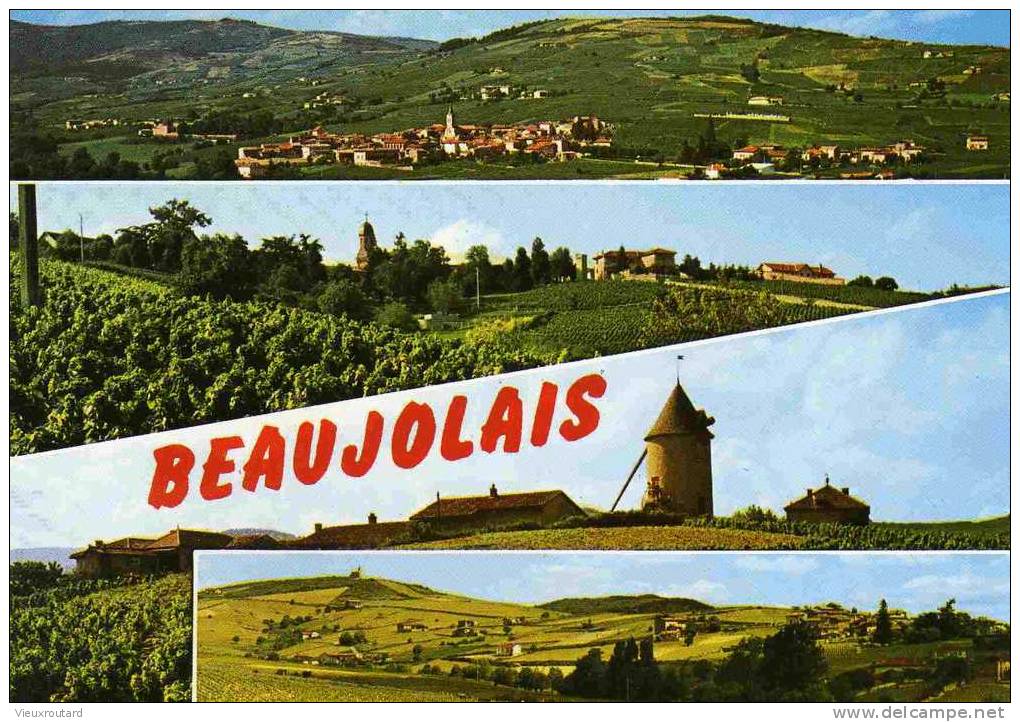 CPSM.LE BEAUJOLAIS TYPIQUE. 4 VUES. - Rhône-Alpes