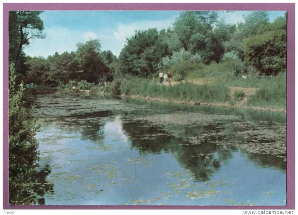 QUEND PLAGE LES PINS - Etang Du Camping De La Dune Fleurie. Le Coin Des Pêcheurs. Circulé 1965. 2 Scans - Quend