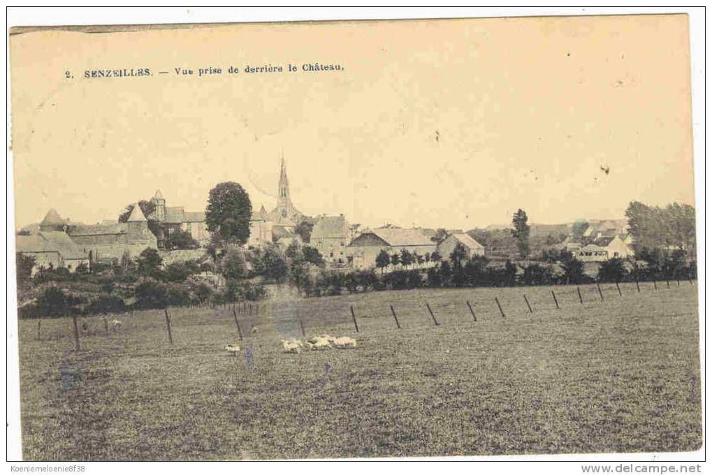 SENZEILLES - VUE PRISE DE DERRIERE LE CHATEAU - Cerfontaine