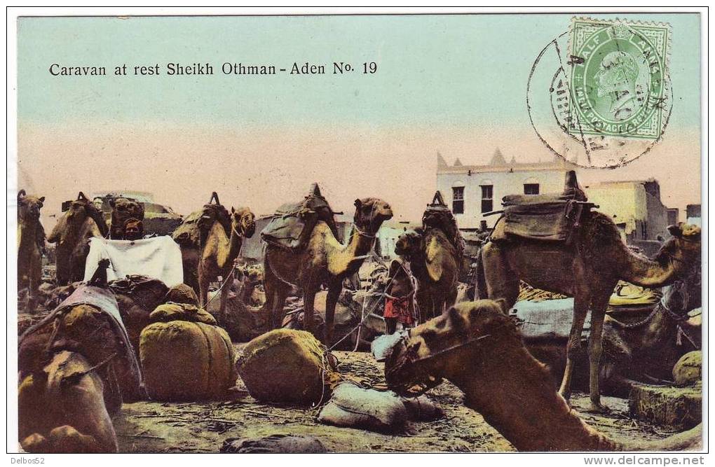 Caravan At Rest Sheikh Othman - Aden N° 19 - Yemen