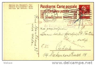 SER019 /- SERBIEN - Serbische Post über Rotes Kreuz,Genf 1917 - Serbia